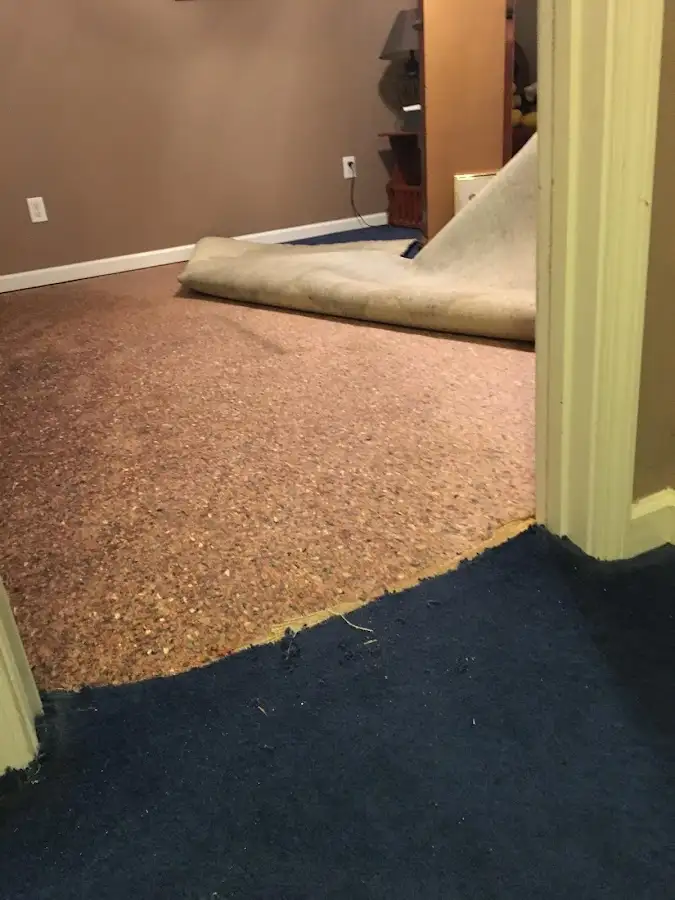 Carpet pad removal revealing water damage during Water Mitigation Services in Shakopee