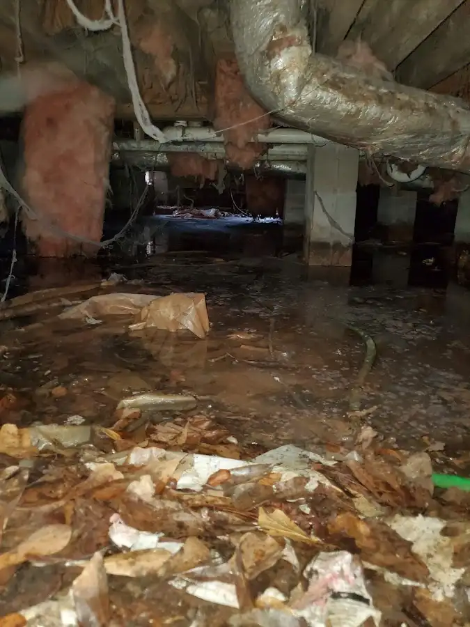 Crawl space flood assessment for Leak Detection & Repair in Shakopee